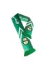 صورة Al Ahli Club Scarf - Green & White